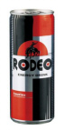 RODEO ENERGY